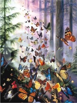 Anatolian Puzzle Kelebek Ormanı / Butterfly Woods 1000 Parça 3069