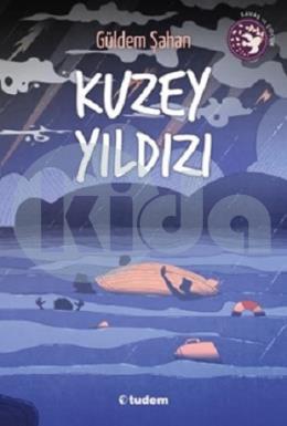 Kuzey Yıldızı