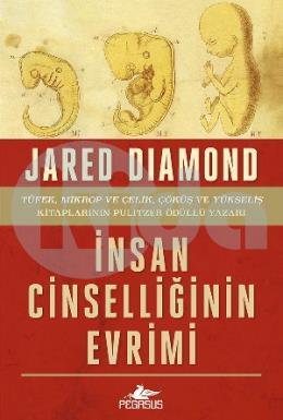 İnsan Ci̇nselli̇ği̇ni̇n Evri̇mi̇