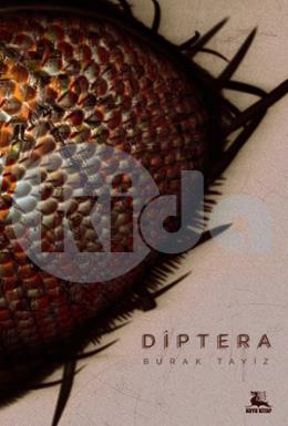 Diptera