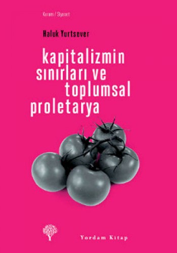 Kapitalizmin Sınırları ve Toplumsal Proletarya