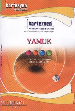 Kartezyen Turuncu Geometri 9 Yamuk