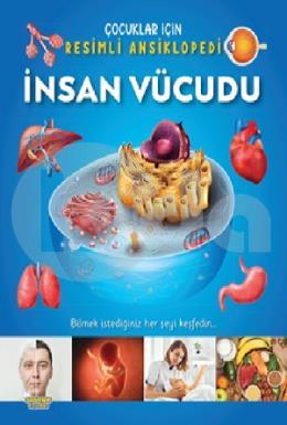 İnsan Vücudu